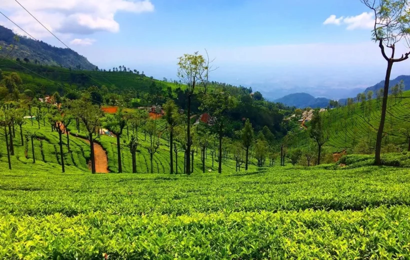 Explore the Enchanting Beauty of Ooty – Where Every Experience is Yours to Create