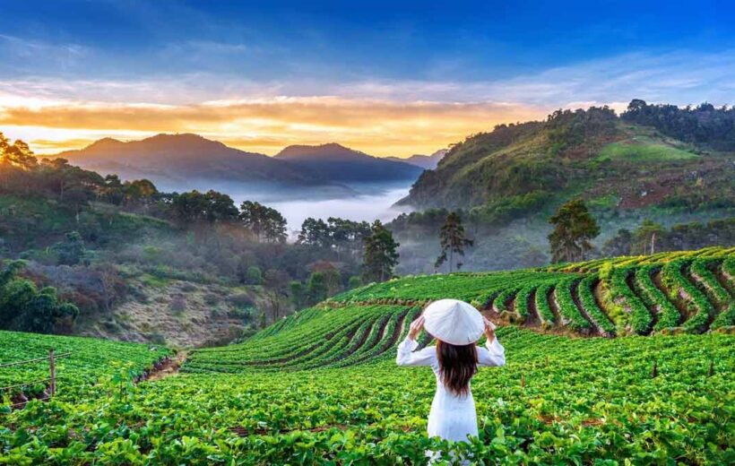 Welcome to Enchanting Mizoram: A Customizable Journey of Discovery